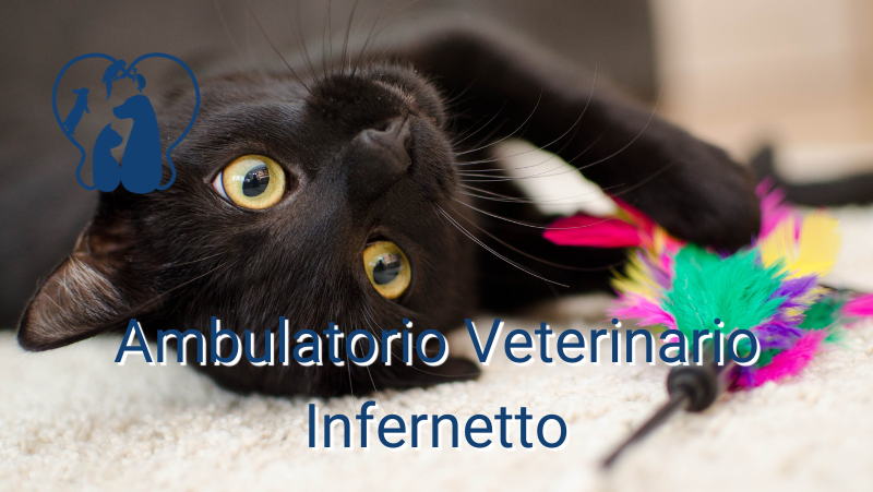 Non siamo giocattoli