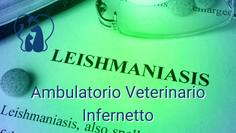 La Leishmaniosi nel cane